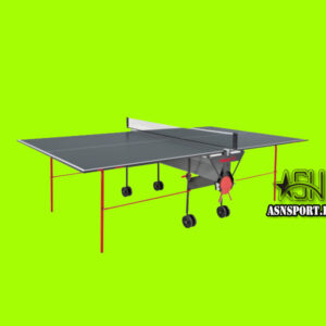 TIBHAR Tenisa galds iekštelpām 1000, 19mm